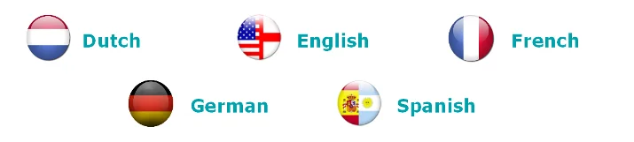 flags representing languages